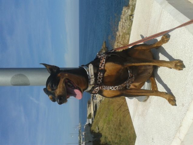 Kikka a Polignano a Mare