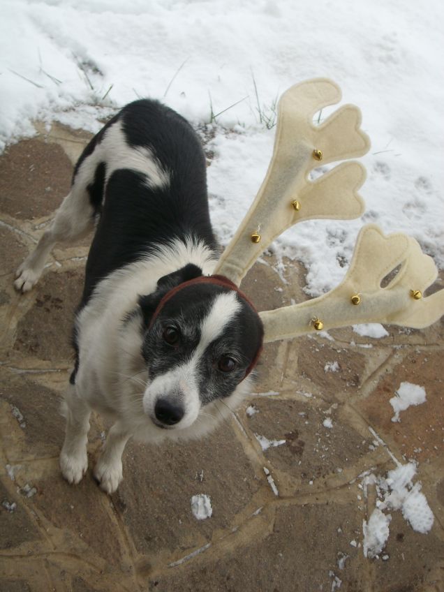 Aiutante di babbo Natale!
