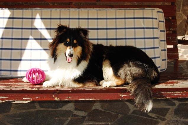 Ariel nel dondolo :)