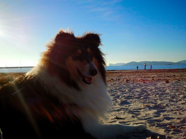 La mia sirenetta si gode il panorama