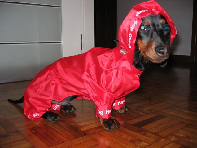 ma devo proprio uscire conciato così?