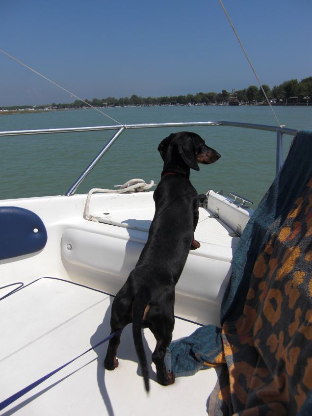 Alla via così... avanti tutta... all'arrembaggio