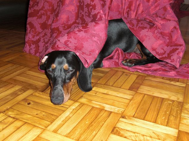 non si può avere un pò di privacy?