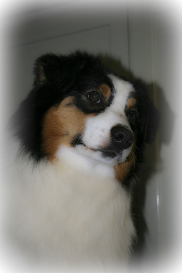 LadiesNightMadeByPatchwork