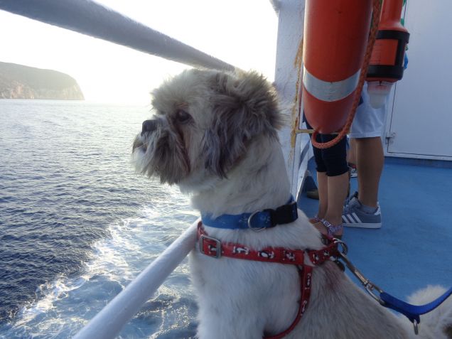 Spank sta arrivando!!!