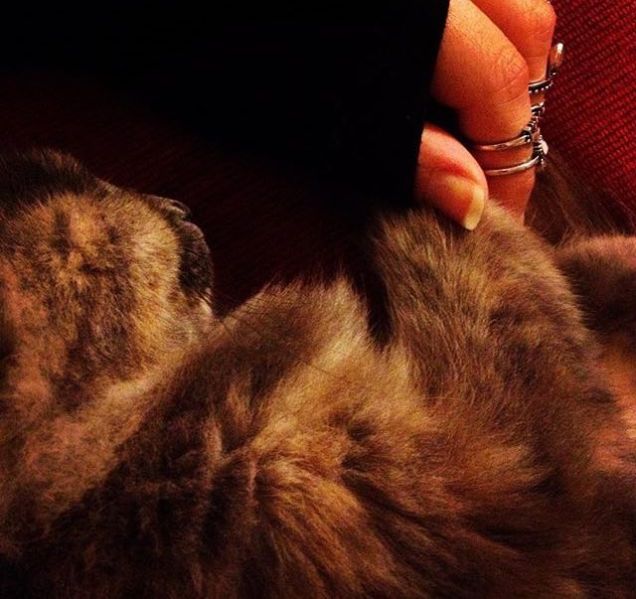 la mia vita in una foto