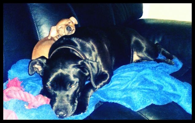  a noi piace fare la ninna assieme