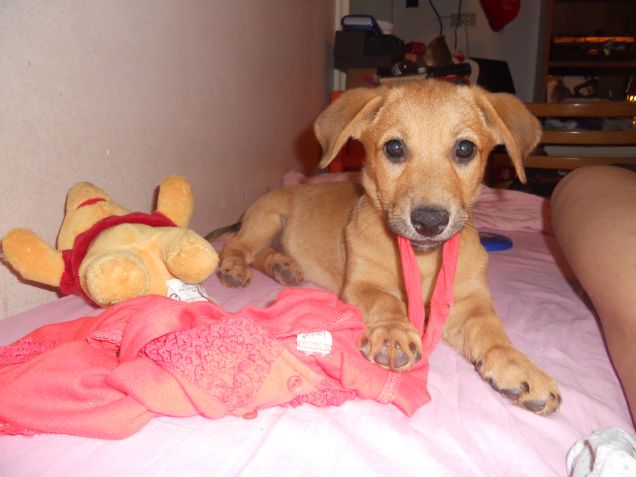 Rubando i vestiti della mamma...