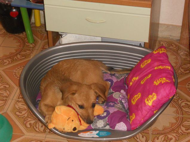 I miei primi giochini