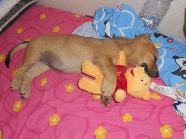 Pisolino con il mio peluche preferito