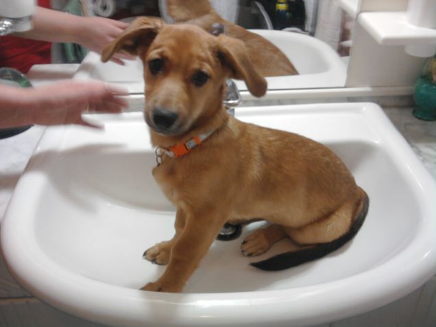 Mentre io faccio la doccia ...