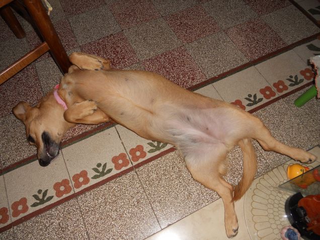 ... posizione da carezzine