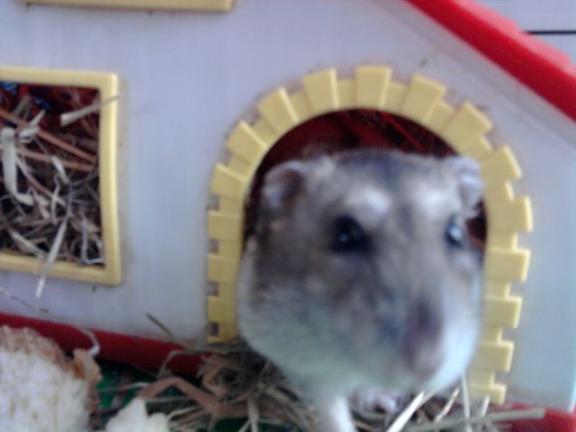 è arrivata la pappa!!!