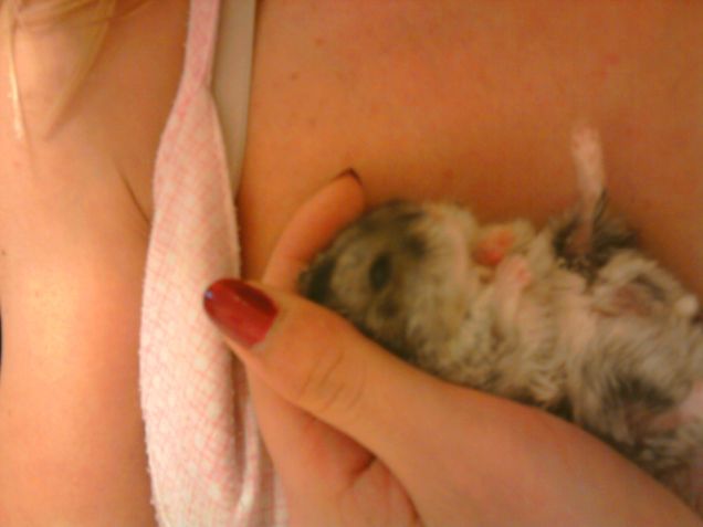 Quanto mi piace essere cullato dalla mamma!