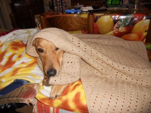 Ma che freddo fà!!!