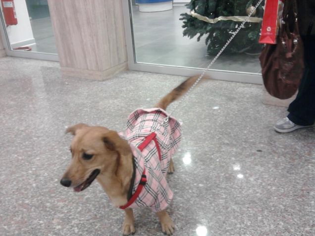 Il mio impermeabile nuovo