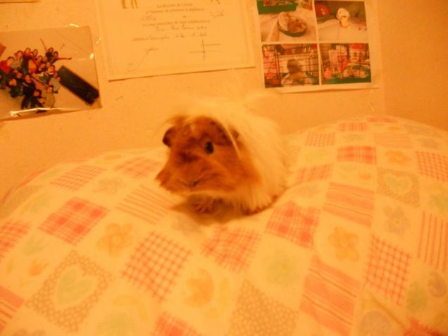 Sbricati! Ti aspetto già sul tuo letto!