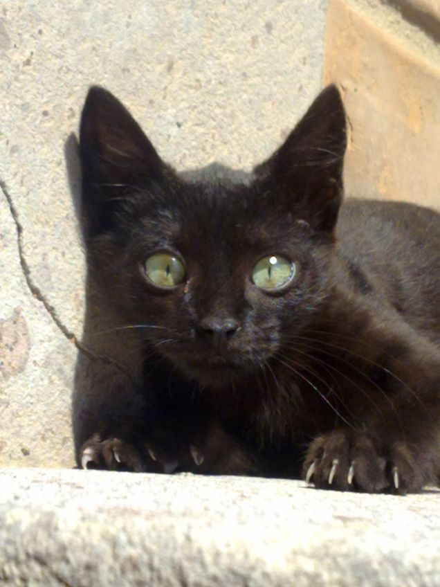 Luna