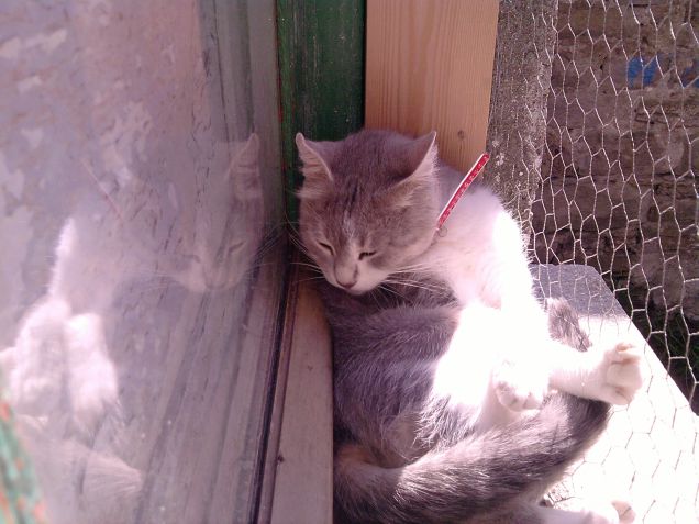 Il sole, la mia passione