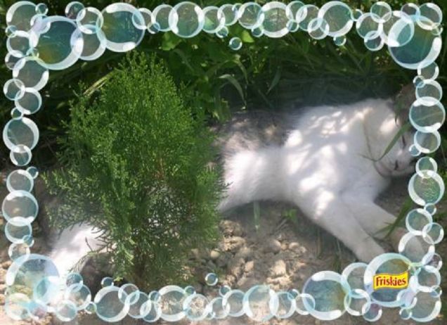 Post Bagnetto Rilassante