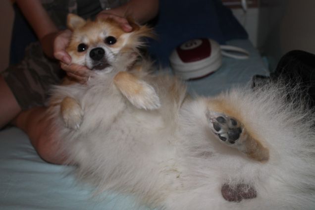 marley il più bello per me