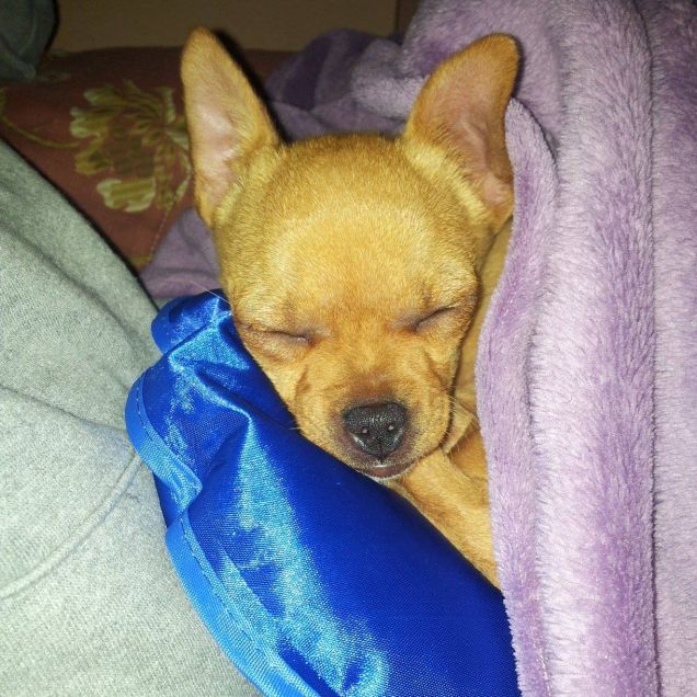 Nina e la borsa dell'acqua calda