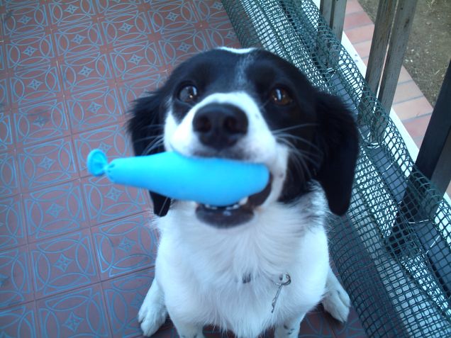 ho rubato il palloncino