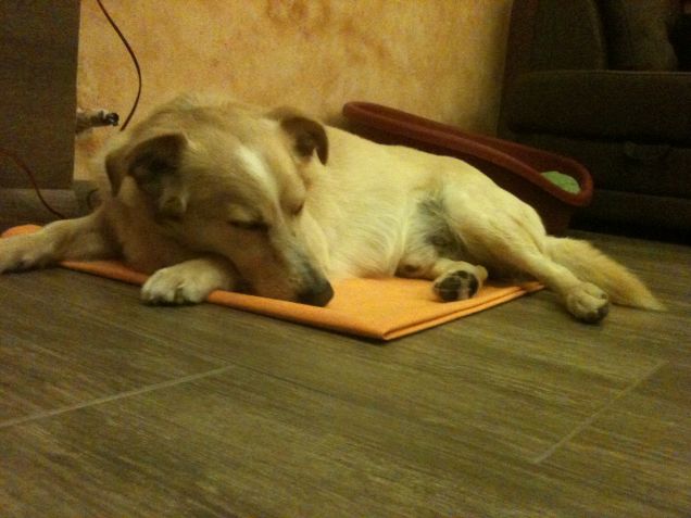 il mio primo giorno a casa