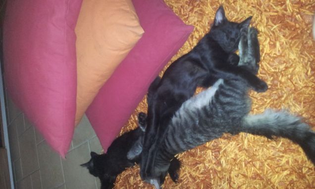 vicini si dorme meglio