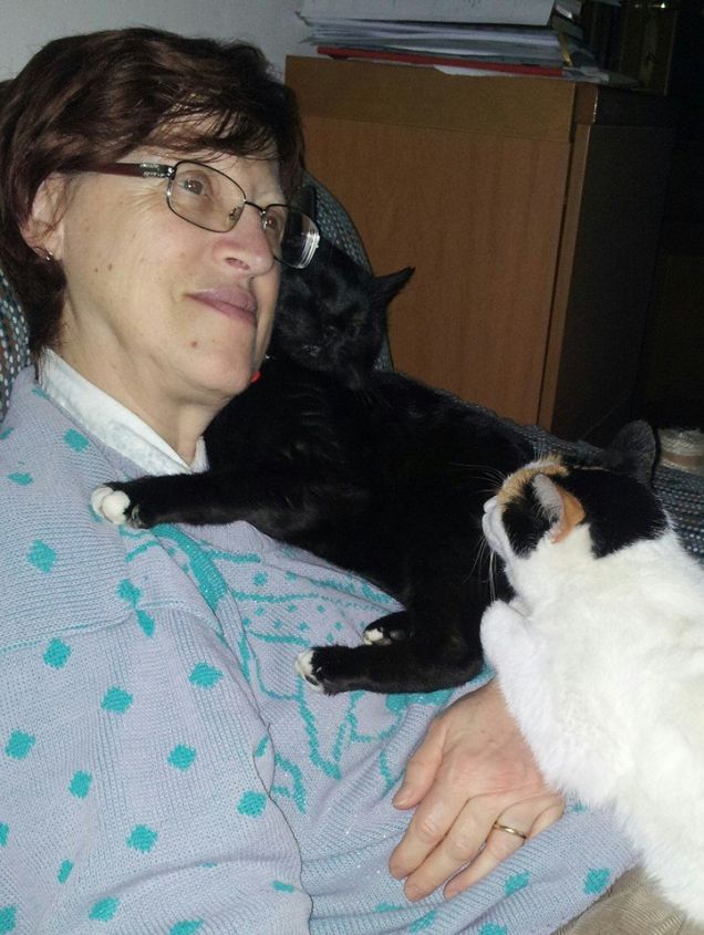 Missione impossibile:sedersi sul divano!