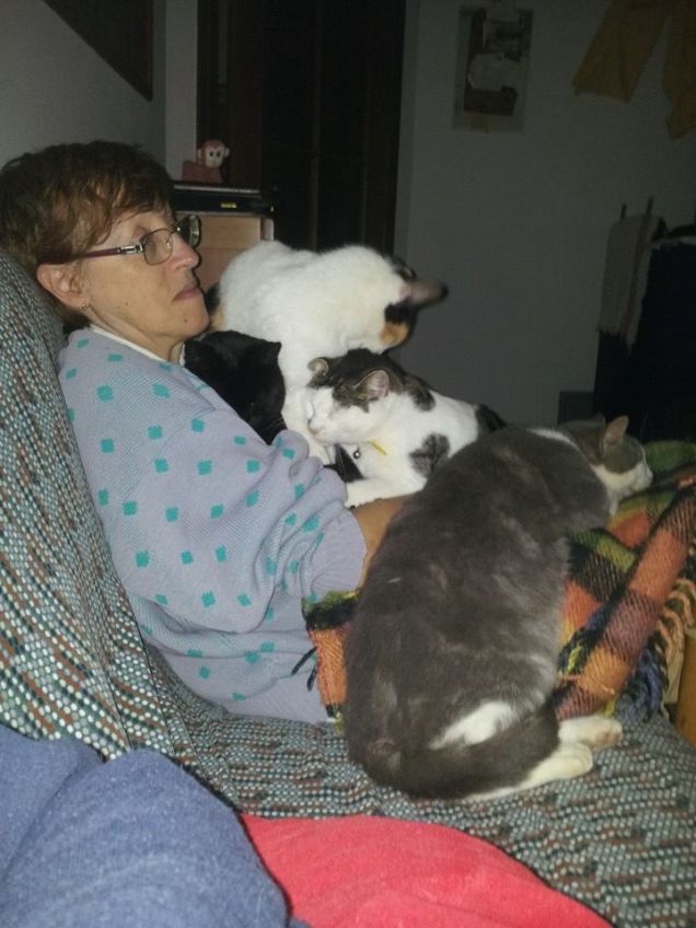 Missione impossibile II: sedersi sul divano!