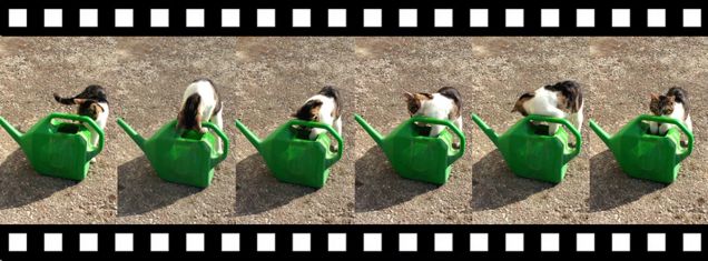 A pesca...in giardino!