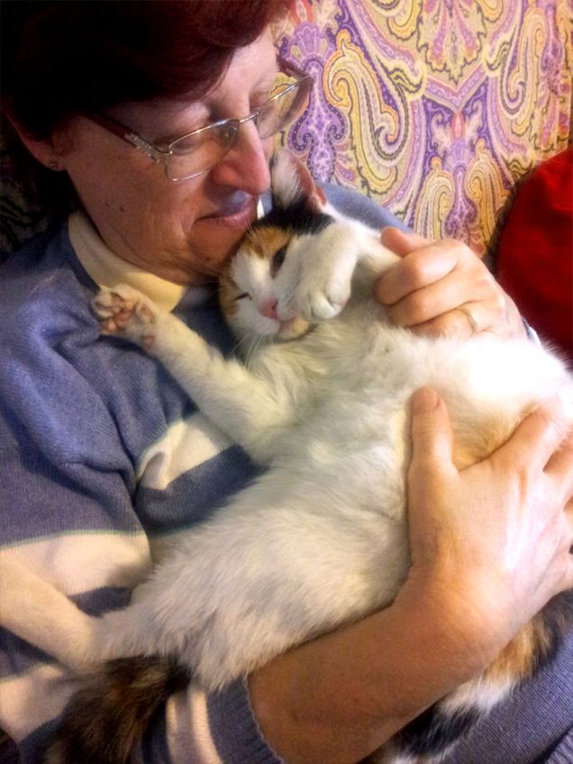 Coccole con la mamma