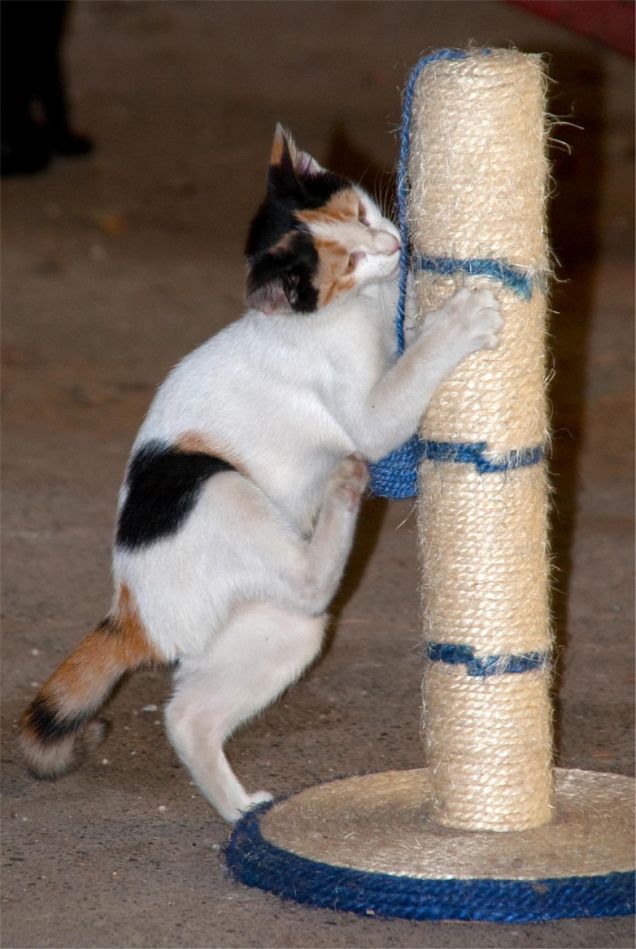 Ricordo di quando ero piccola