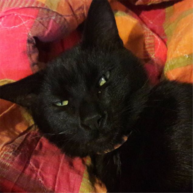 Perchè mi svegli???