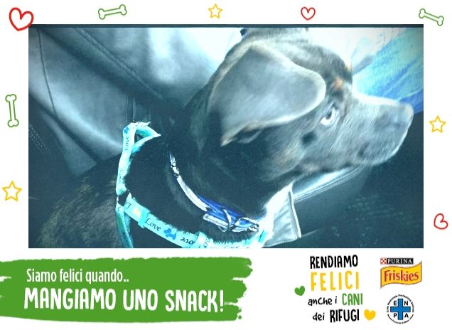 Io e il mio monellino