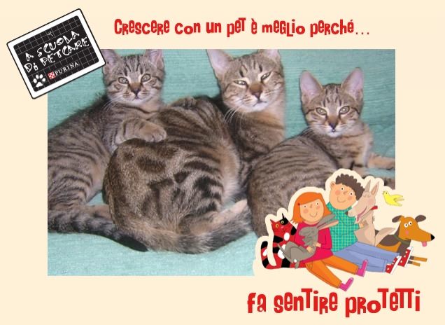 Appassionatamente insieme