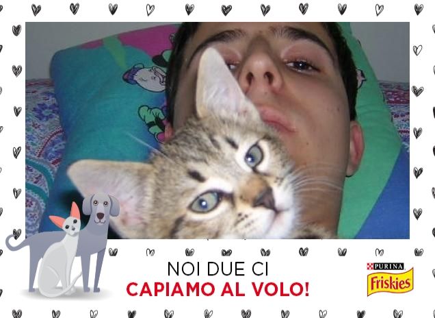 Gli inseparabili