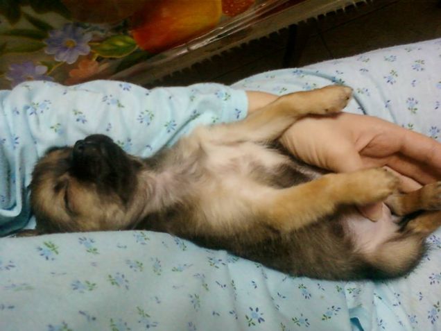 Sono stanca stanca =)