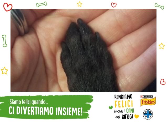 LA TUA MANO NELLA MIA