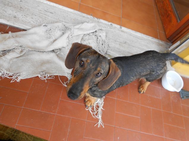 Udo il giorno del primo compleanno