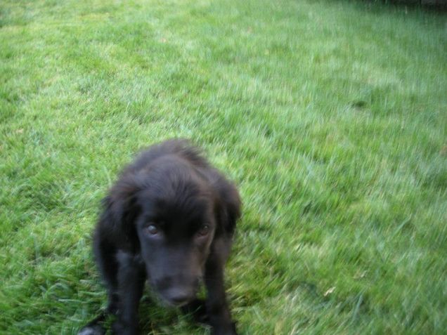 LILLY APPENA ARRIVATA