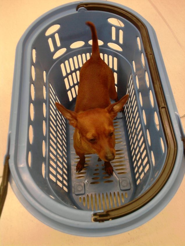 Rudyno dentro il carrellino xD