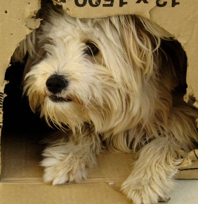 Questa scatola era proprio buona mamma!!!