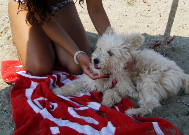 Che tipa da spiaggia