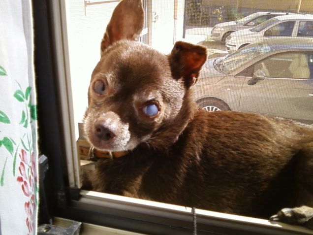 cosa c'è? Vuoi una foto?