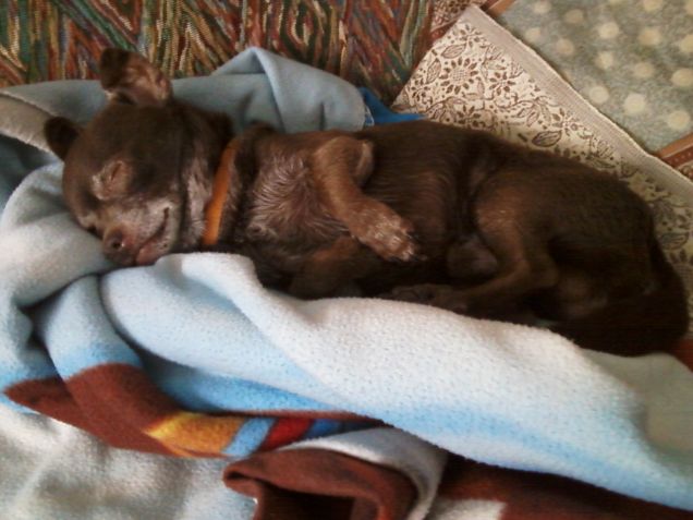 e chi mi sveglia più? 