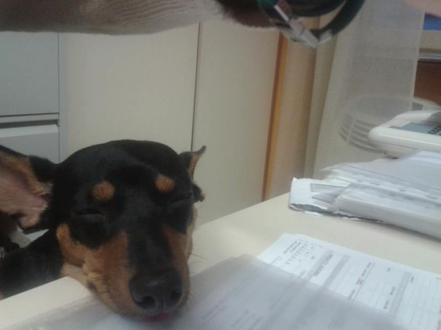 Aspettando Babbo Natale!!!!