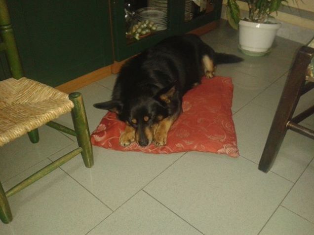 Il suo sport preferito .. d'inverno ! 