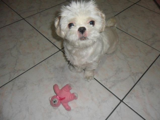 George e il giochino